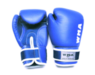 WBG-236M-1 OZ 10 Бокс. перчатки WMA (синие)