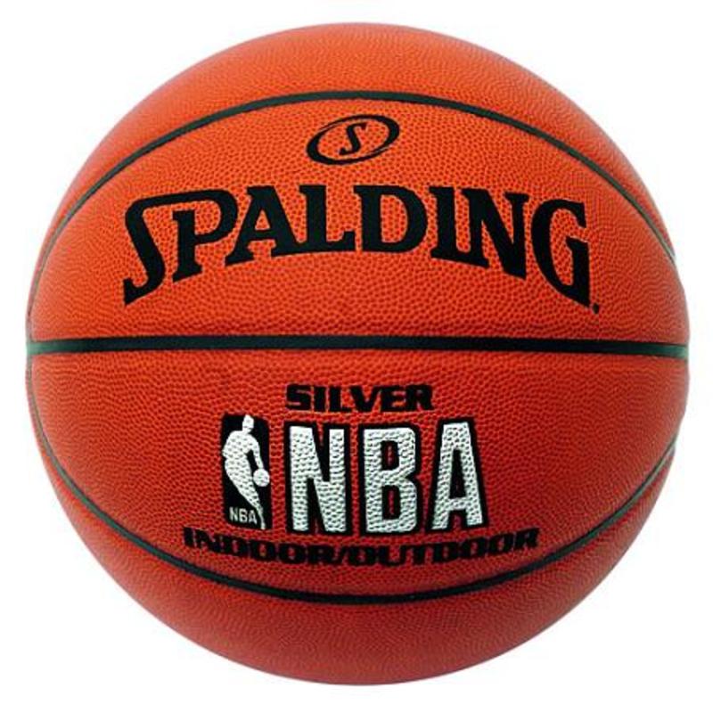      Spalding NBA Silver Series Indoor/Outdoor