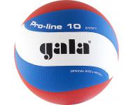 Мяч волейбольный  Gala Pro-Line 10  BV5581S