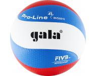 Мяч волейбольный Gala Pro-Line 10 FIVB BV5591S
