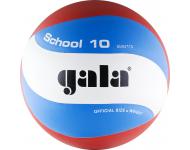 Мяч волейбольный  Gala School 10 BV5711S