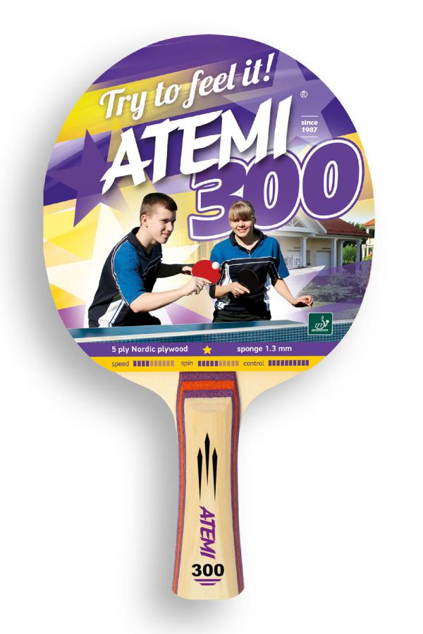    ATEMI 300