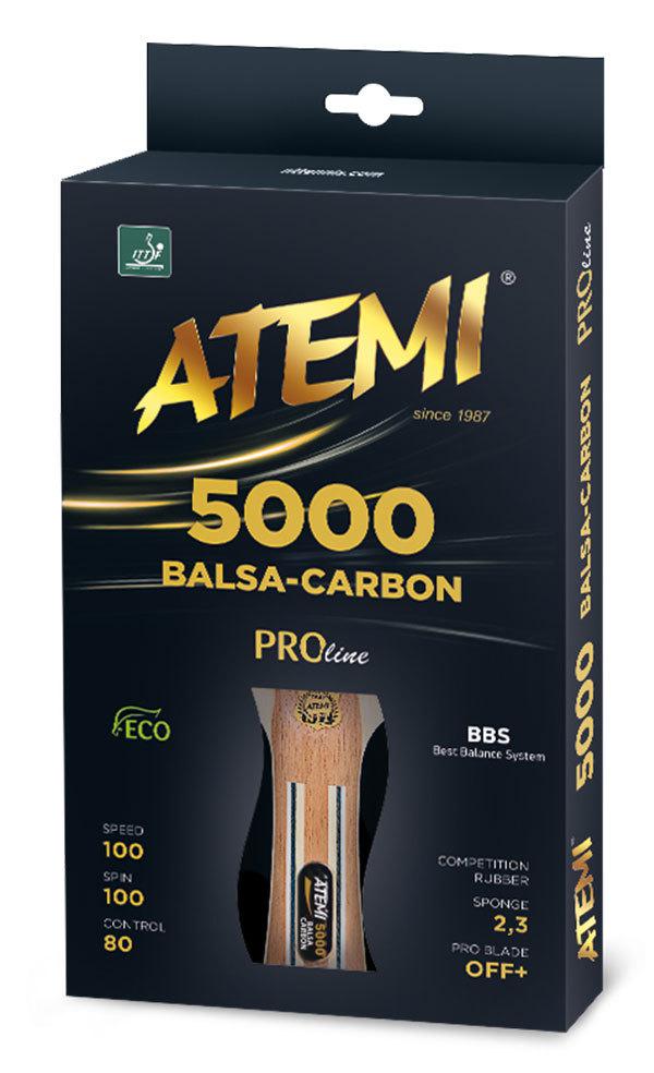     ATEMI PRO 5000 AN