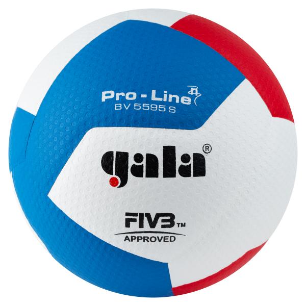   GALA Pro-Line 12 FIVB, BV5595S,  5